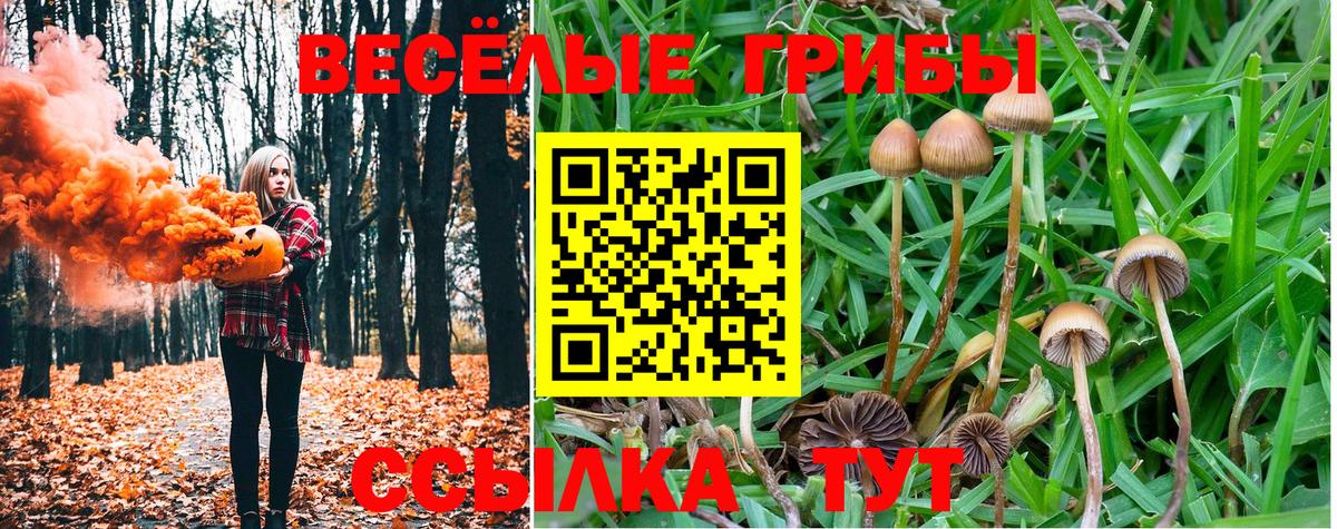 Галлюциногенные грибы мицелий Тула